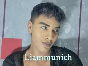 Liammunich