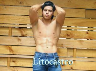 Litocastro