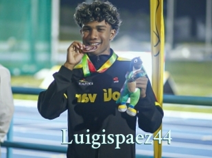 Luigispaez44
