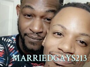 MARRIEDGAYS213