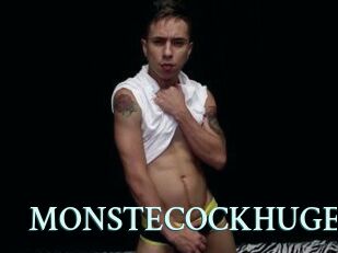 MONSTECOCKHUGE
