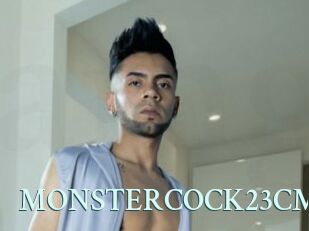MONSTERCOCK23CM