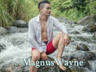 MagnusWayne
