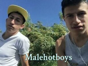 Malehotboys