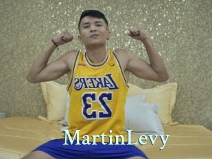MartinLevy