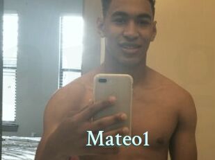 Mateo1