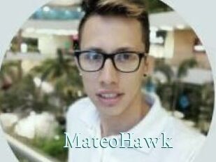 MateoHawk