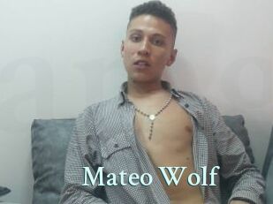 Mateo_Wolf
