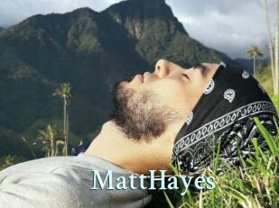 MattHayes