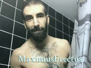 MaximusErectus