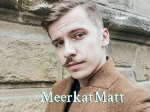MeerkatMatt