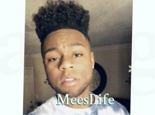 MeesLife