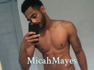 Micah_Mayes Ambiance Gay