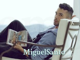 MiguelSanto