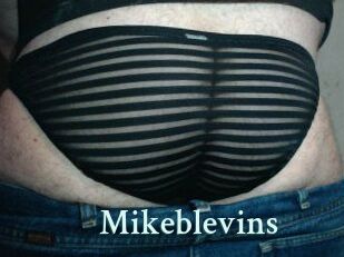 Mikeblevins