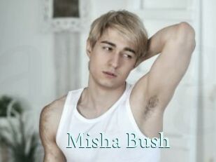 Misha_Bush