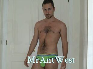 MrAntWest