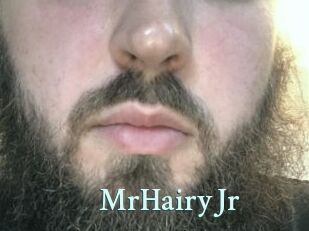 MrHairyJr