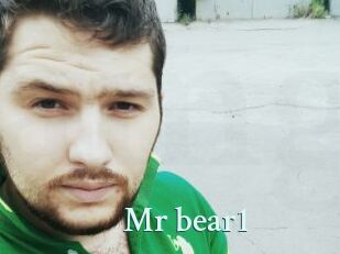 Mr_bear1