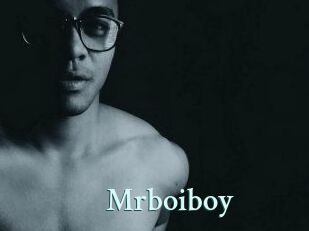 Mrboiboy