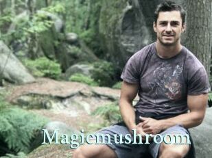 magicmushroom Ambiance Gay