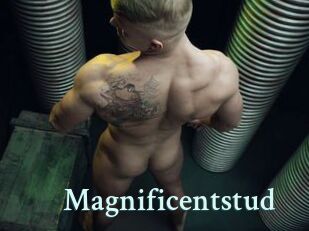 magnificentstud Ambiance Gay