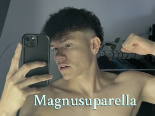 magnusuparella Ambiance Gay