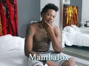 Mambafox