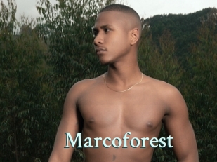 Marcoforest
