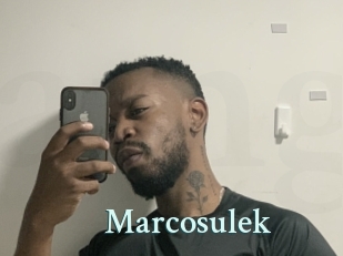 Marcosulek