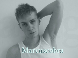 marcuscobra Ambiance Gay