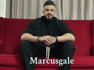 marcusgale Ambiance Gay