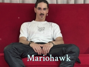 Mariohawk