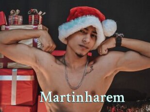 Martinharem