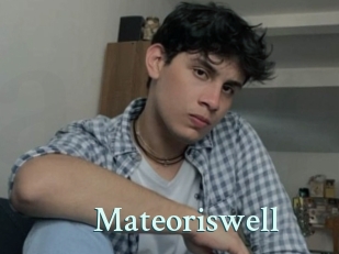mateoriswell Ambiance Gay