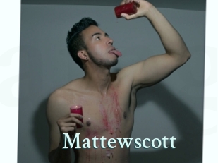 mattewscott Ambiance Gay