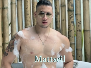Mattseil
