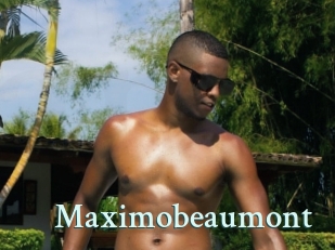maximobeaumont Ambiance Gay