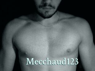Mecchaud123