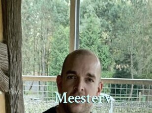 Meesterv
