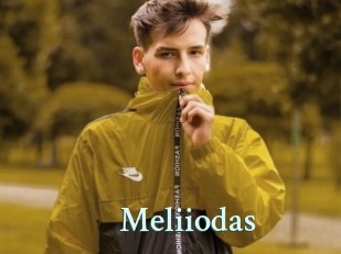 Meliiodas
