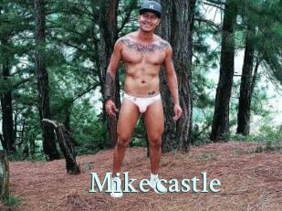 Mike_castle