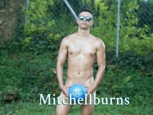 Mitchellburns