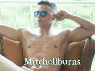 Mitchellburns