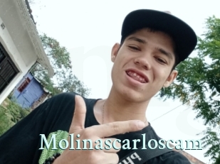 Molinascarloscam