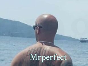 Mrperfect