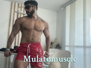 Mulatomuscle
