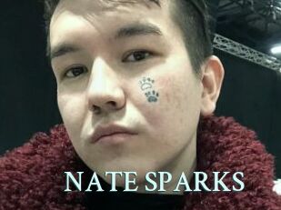 NATE_SPARKS
