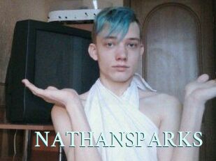 NATHAN_SPARKS