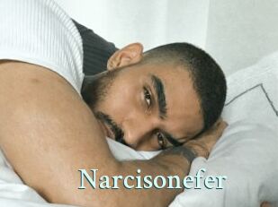 Narcisonefer